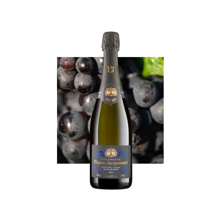 Extra brut vintage blanc de noirs photo